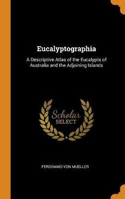 Eucalyptographia image