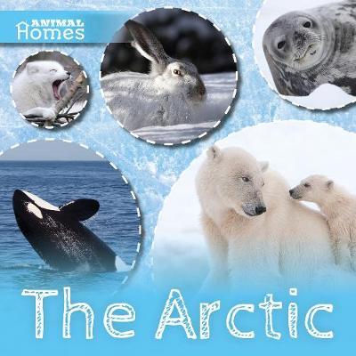 The Arctic by Holly Duhig image