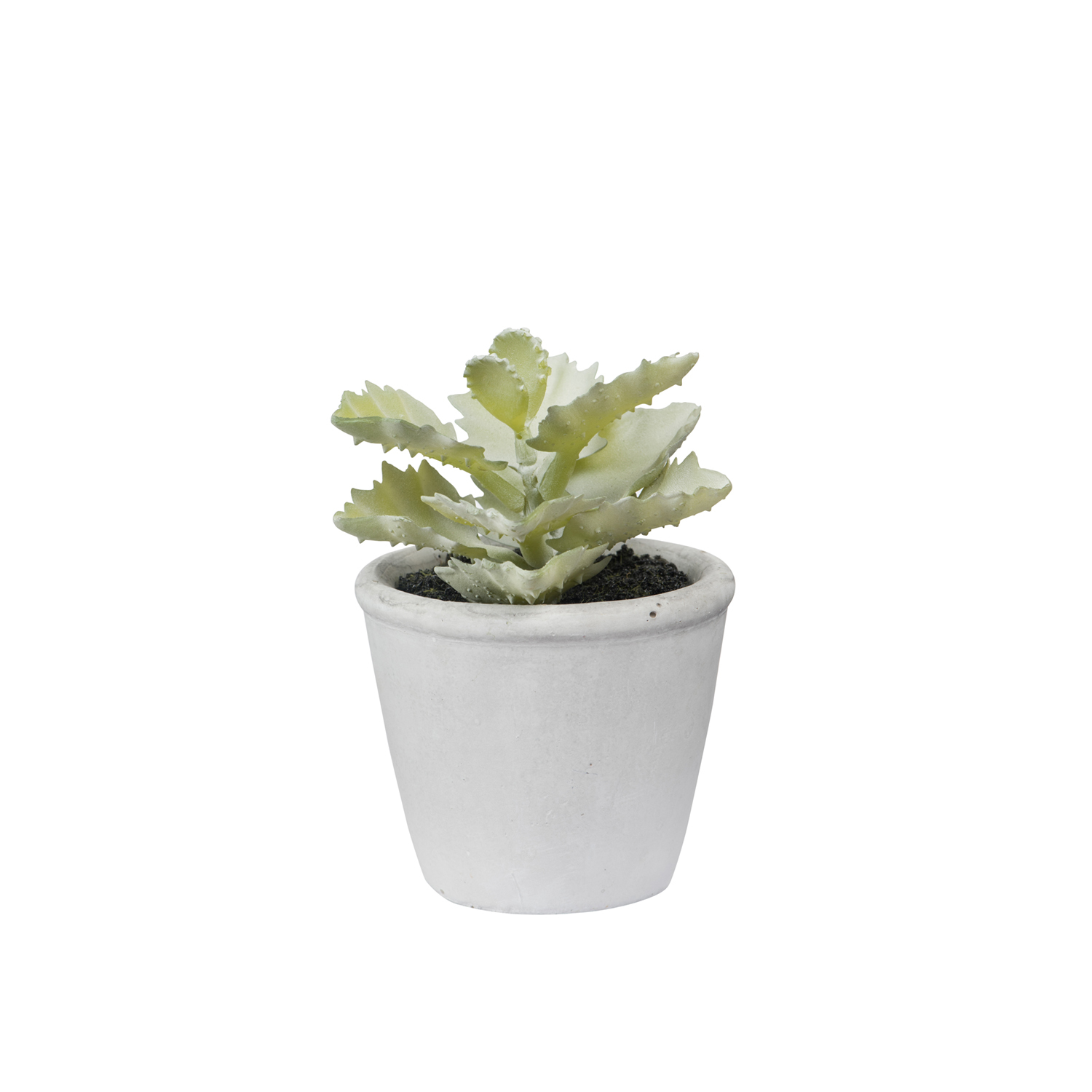 General Eclectic: Artificial Plant - Frilly Succulent image