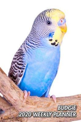 Budgie 2020 Weekly Planner by Notebooks Journals Xlpress image