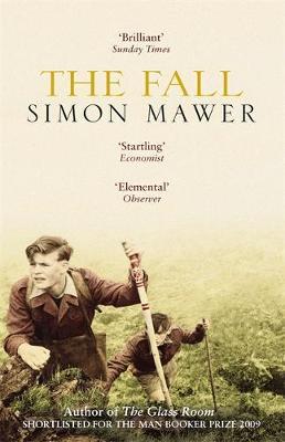 The Fall by Simon Mawer image