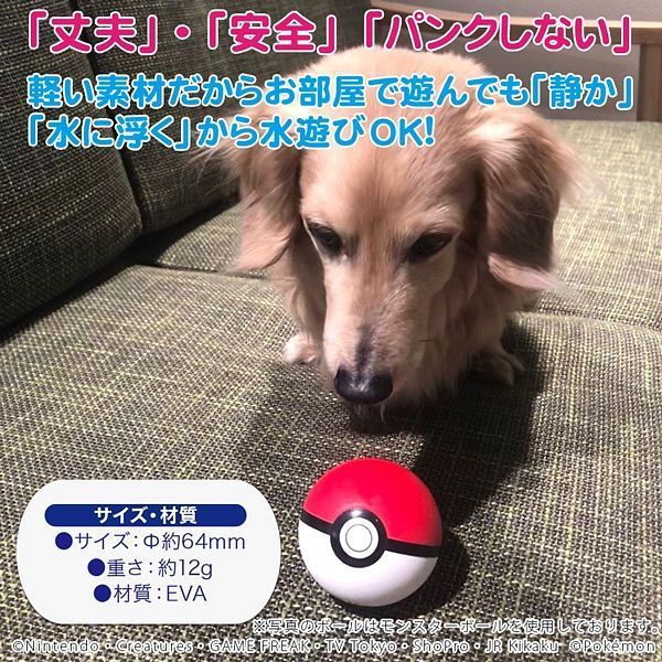 Pokemon Pet Toy - Poke Ball image