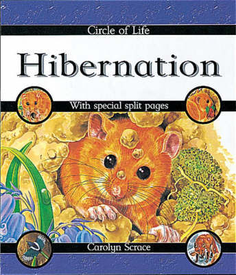 Circle of Life: Hibernation by Carolyn Scrace image