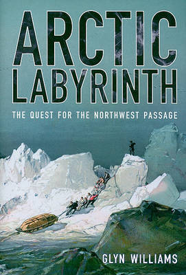 Arctic Labyrinth by Glyn Williams image