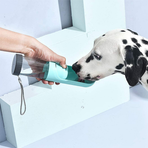 Buy Portable Dog Water Bowl at Mighty Ape NZ