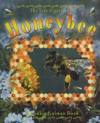 The Life Cycle of a Honeybee by Bobbie Kalman image