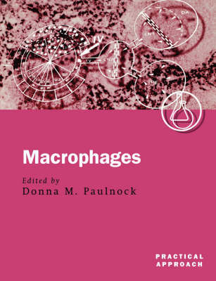 Macrophages image