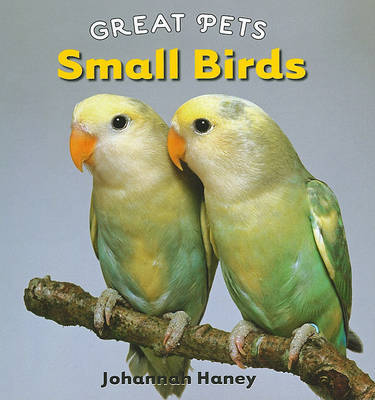 Small Birds on Hardback by Johannah Haney