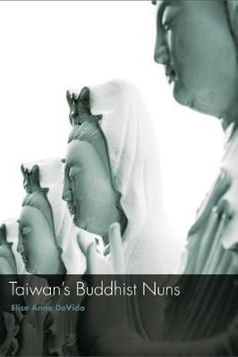 Taiwan's Buddhist Nuns by Elise Anne DeVido image