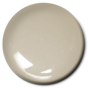 Testors Steel Gloss Acrylic image