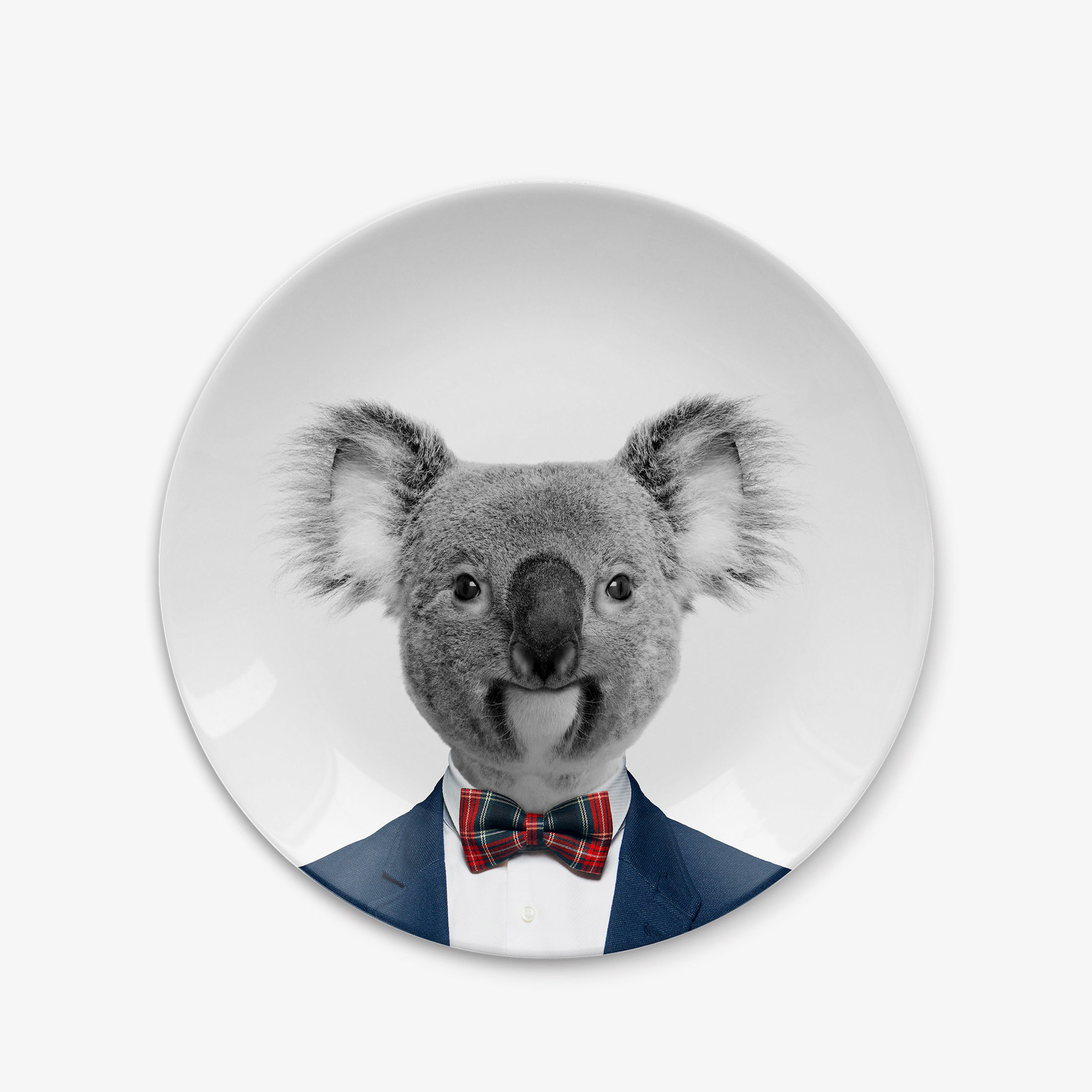 Wild Dining: Ceramic Dinner Plate - Baby Koala (18cm) image