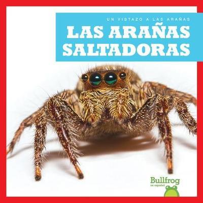 Las Aranas Saltadoras (Jumping Spiders) on Hardback by Jenna Lee Gleisner