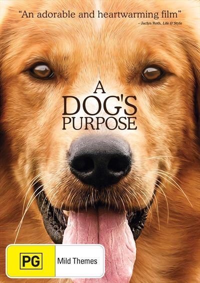 A Dog's Purpose on DVD image