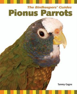 Pionus Parrots by Tammy Gagne image