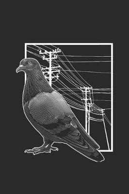 Pigeon With Electric Wire image