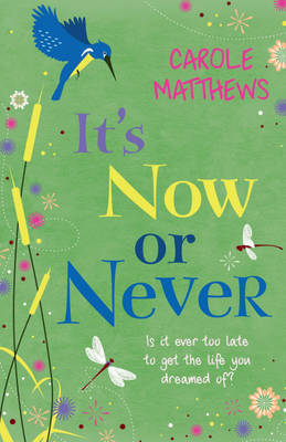 It's Now or Never by Carole Matthews image