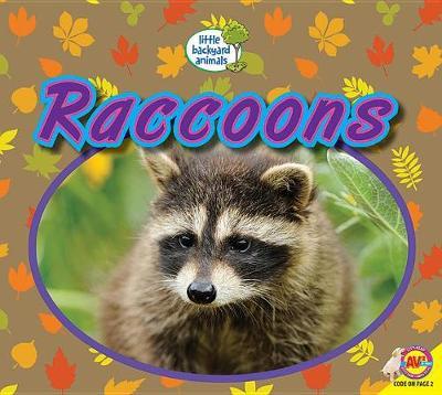 Raccoons by Heather Kissock image
