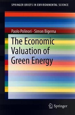 The Economic Valuation of Green Electricity by Paolo Polinori image