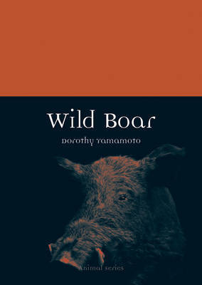 Wild Boar by Dorothy Yamamoto image