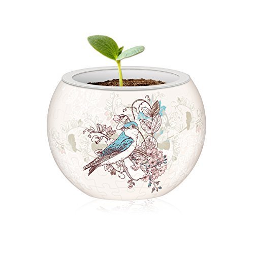 Pintoo: 80-Piece Puzzle Flower Pot - Singing Birds & Flowers image