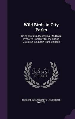 Wild Birds in City Parks by Herbert Eugene Walter image