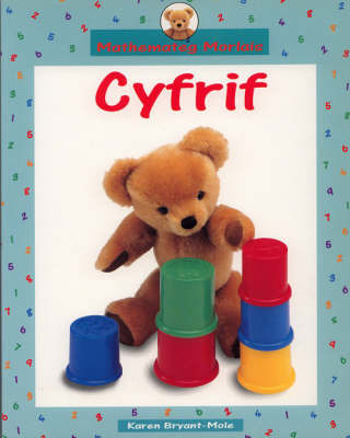 Cyfrif Big Book: Big Book by Karen Bryant-Mole image