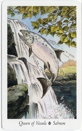 Wildwood Tarot John Matthews Book Buy Now At Mighty Ape Nz