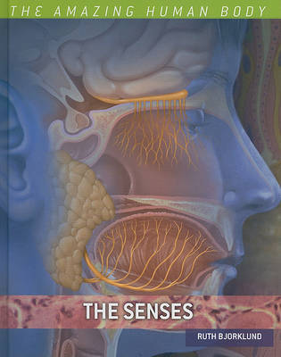 The Senses by Ruth Bjorklund image