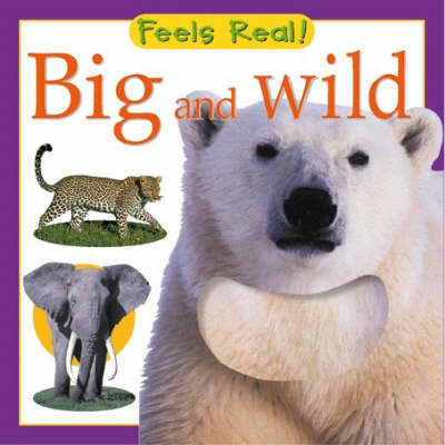 Big and Wild on Hardback by Christiane Gunzi