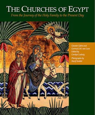 The Churches of Egypt by Gawdat Gabra image