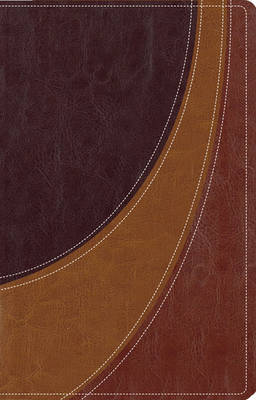 The Case for Christ Study Bible: Investigating the Evidence for Belief by Zondervan Publishing image