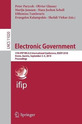 Electronic Government image