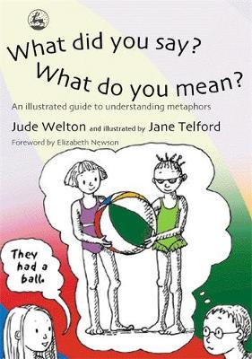 What Did You Say? What Do You Mean? by Jude Welton image