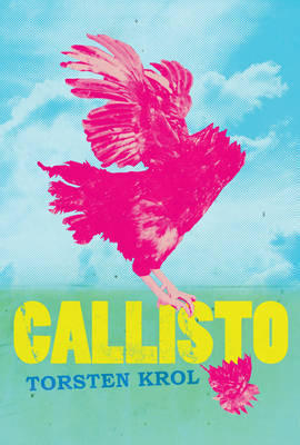 Callisto by Torsten Krol image