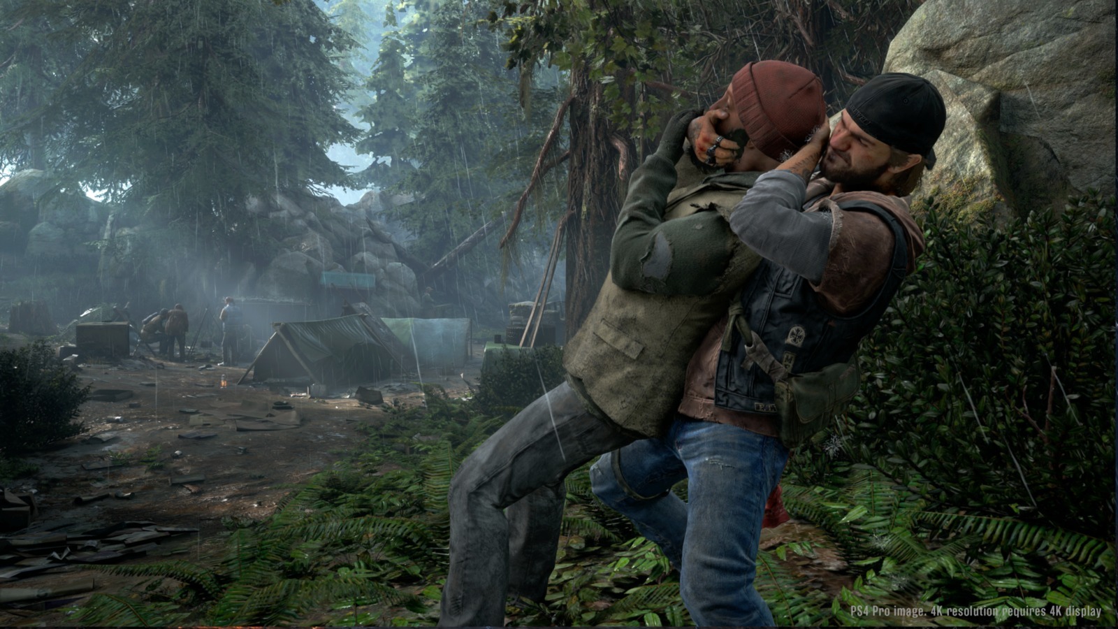 Days Gone Collector's Edition image