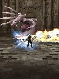 Ninja Gaiden: Dragon Sword for DS image