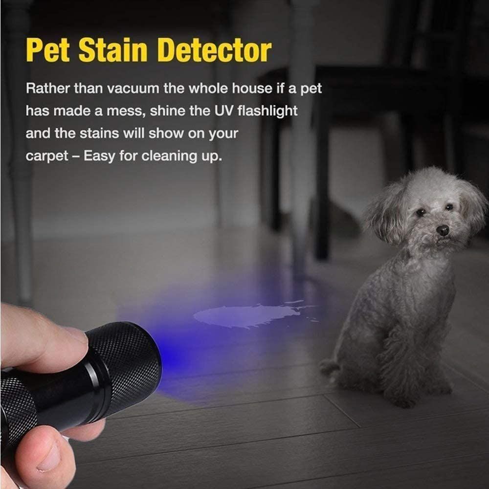 Ultraviolet LED Flashlight (Stain Detector)