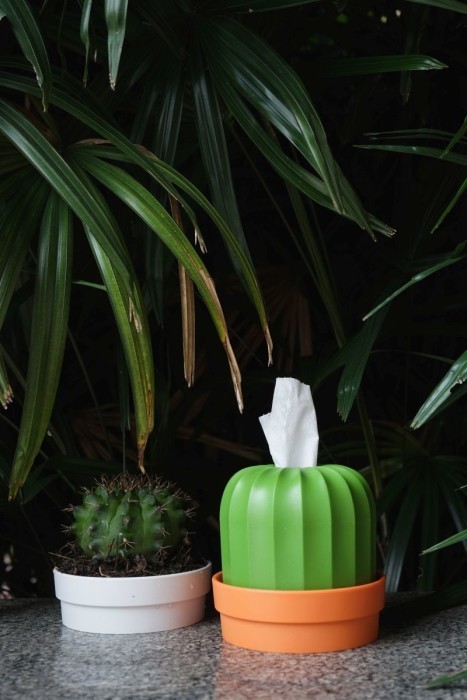 Qualy Cactiss Tissue Holder (Orange/Green) image