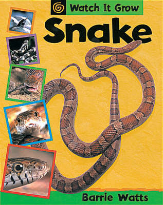 Snake by Barrie Watts image