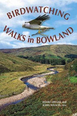 Birdwatching Walks in Bowland image