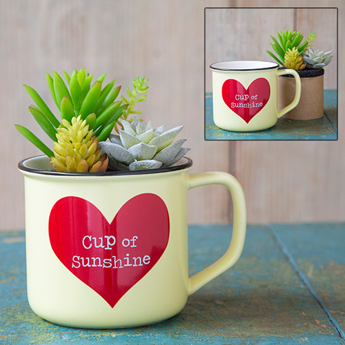 Natural Life: 2in1 Mug - Succulent Cup Of Sunshine image