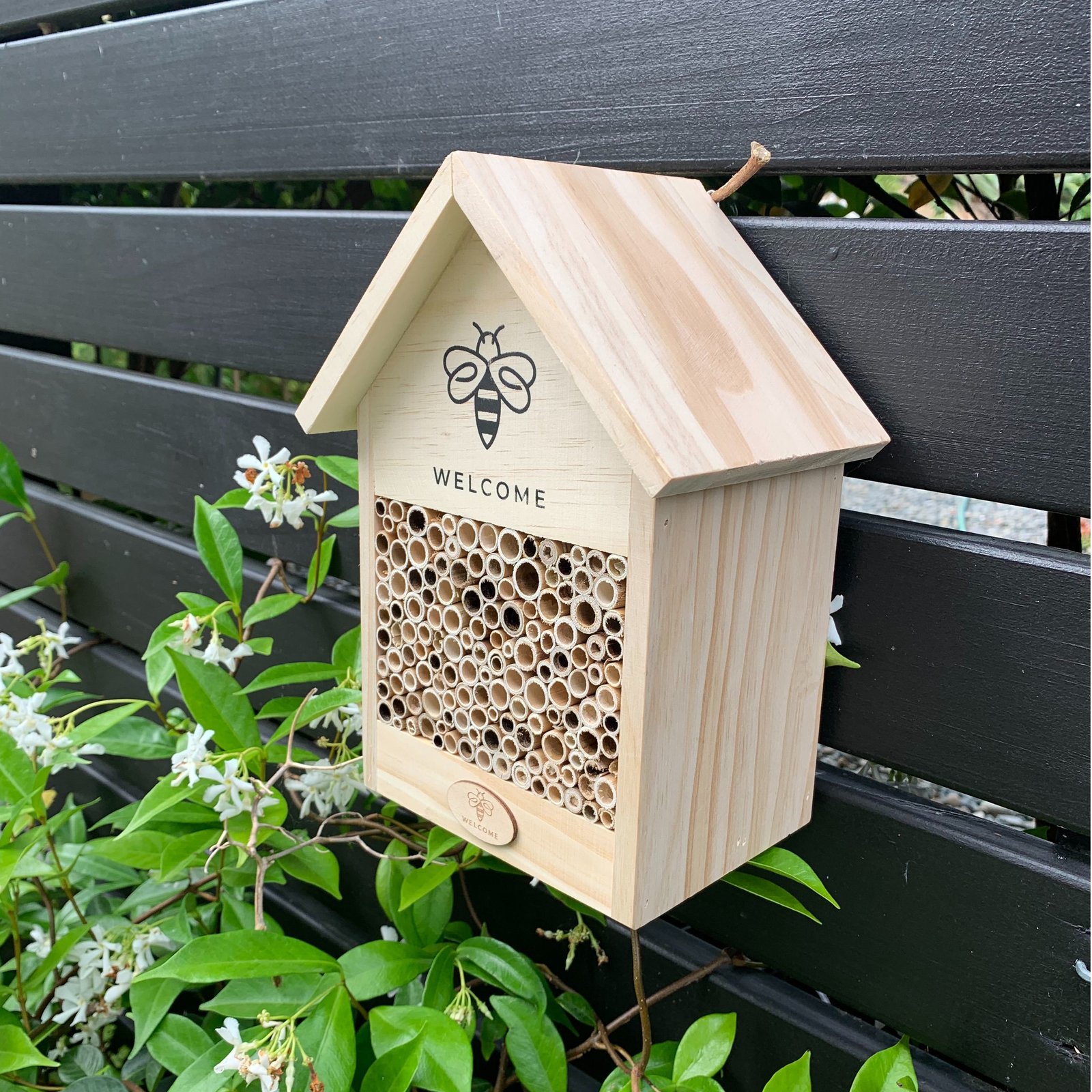 Welcome Buzz Bee Hotel