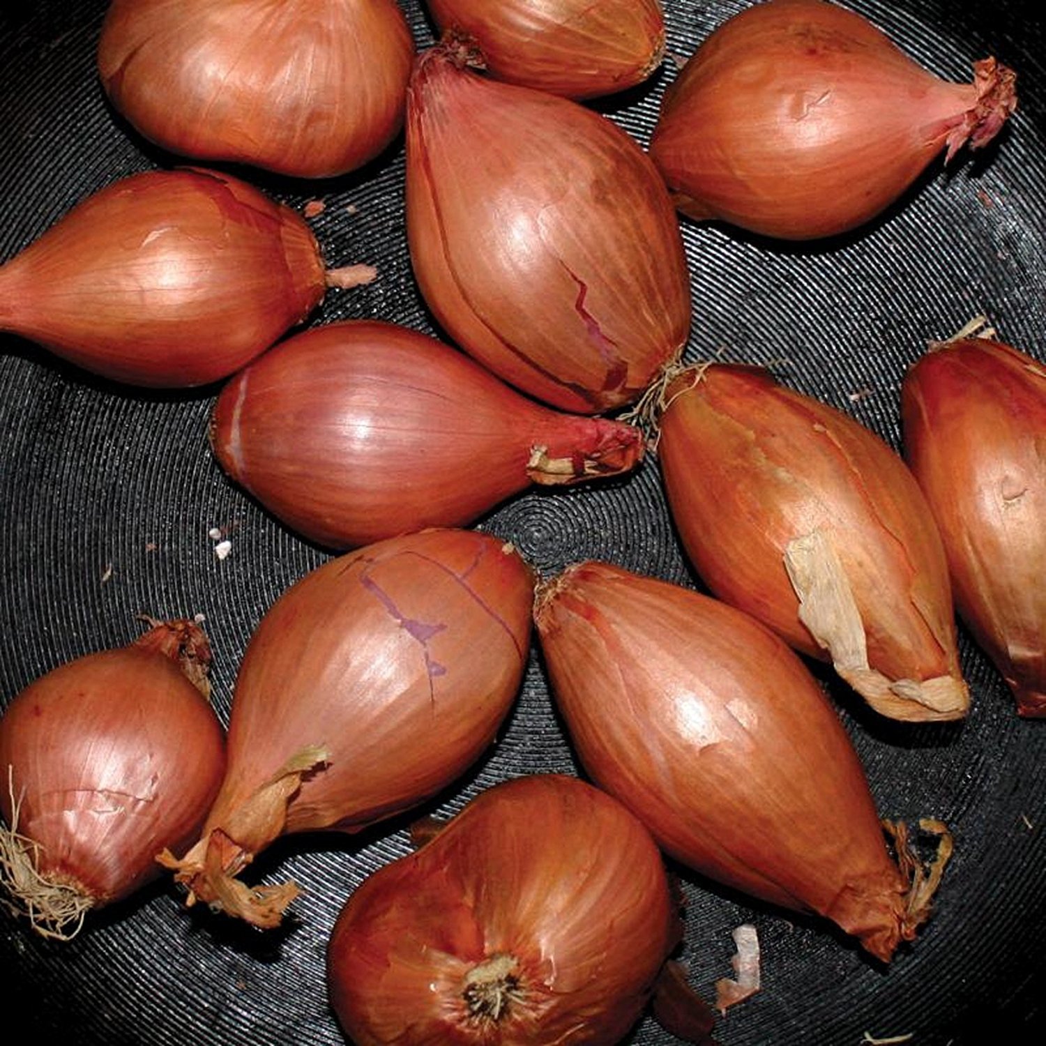 Fried Shallots EP (12"LP) by Ty Segall image
