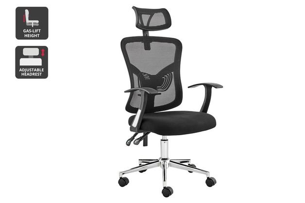 Buy Ergolux Endever Ergonomic Chair (Black) at Mighty Ape NZ