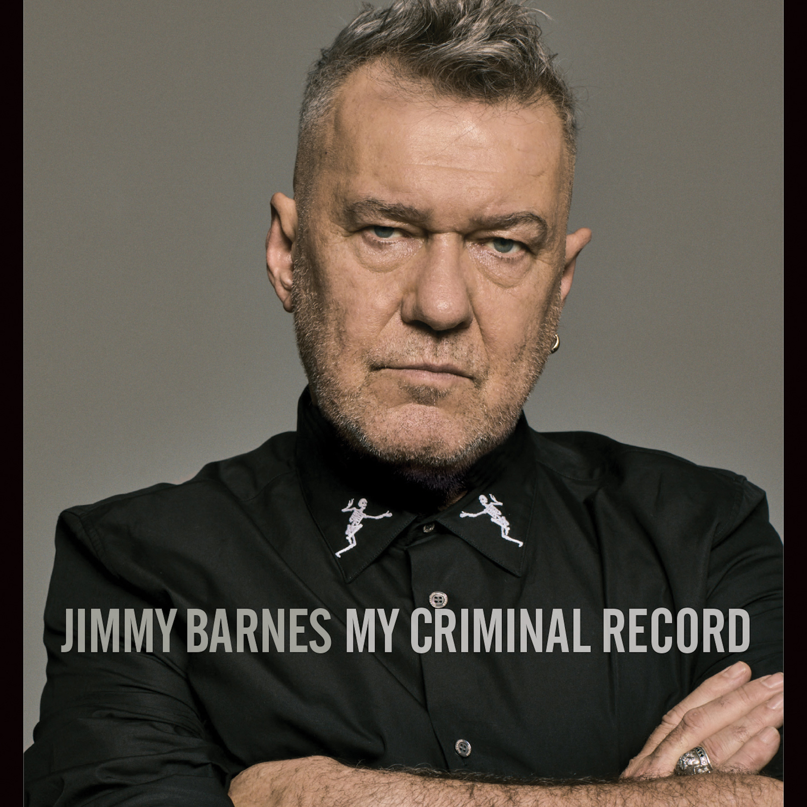 My Criminal Record (2LP) image