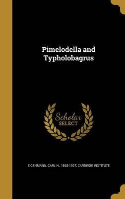 Pimelodella and Typholobagrus image