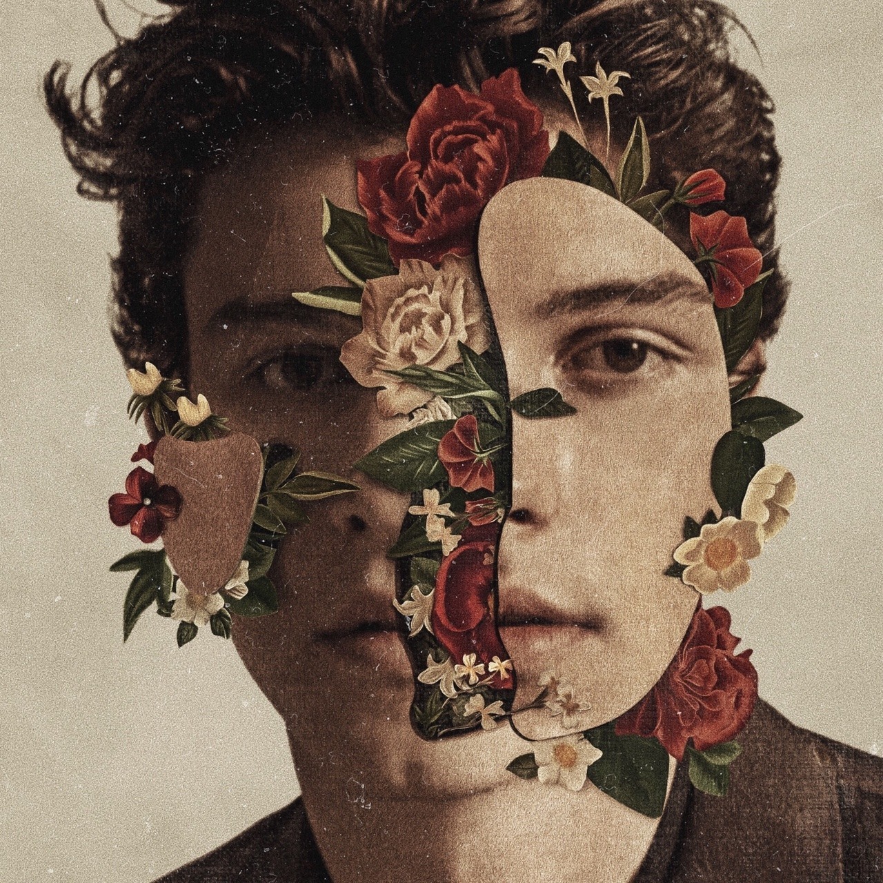 Shawn Mendes: The Album (Deluxe) on CD by Shawn Mendes