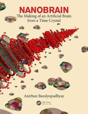 Nanobrain by Anirban Bandyopadhyay image