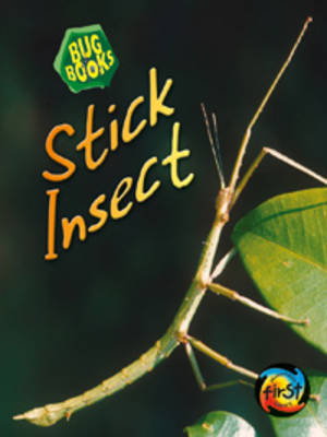 Stick Insect by Karen Hartley image