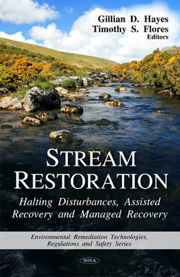 Stream Restoration image